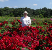 Аватара пользователя