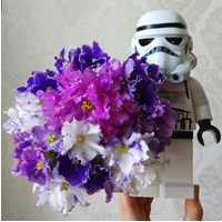 Аватара пользователя