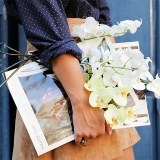 Аватара пользователя